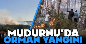 BOLU'DA ORMAN YANGINI... EKİPLER SEFERBER OLDU....