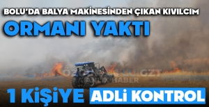 BOLU'DA ORMAN YANGININA SEBEP OLAN ŞÜPHELİYE ADLİ KONTROL KARARI