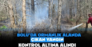 BOLU'DA ORMANLIK ALANDA ÇIKAN YANGIN KONTROL ALTINA ALINDI