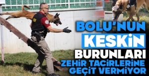BOLU'DA PAKO VE HERA UYUŞTURUCUYA GEÇİT VERMİYOR...
