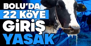 BOLU'DA ŞAP HASTALIĞI YAYILMASIN DİYE KRİTİK ÖNLEM...