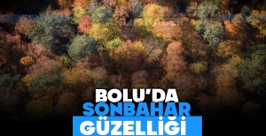 BOLU'DA SONBAHAR GÜZELLİĞİ