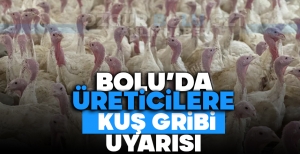 BOLU'DA ÜRETİCİLERE 'KUŞ GRİBİ' UYARISI