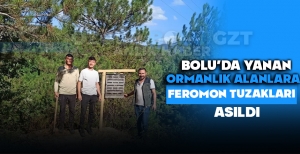 BOLU'DA YANAN ORMANLIK ALANLARA FEROMON TUZAKLARI ASILDI