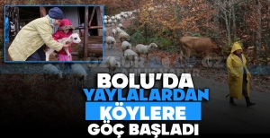 BOLU'DA YAYLALARDAN KÖYLERE GÖÇ BAŞLADI