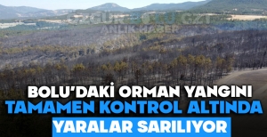 BOLU'DAKİ ORMAN YANGINI TAMAMEN KONTROL ALTINDA: YARALAR SARILIYOR