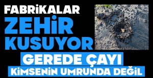 BOLU'NUN KANAYAN YARALARINDAN BİRİ... GEREDE ÇAYI...