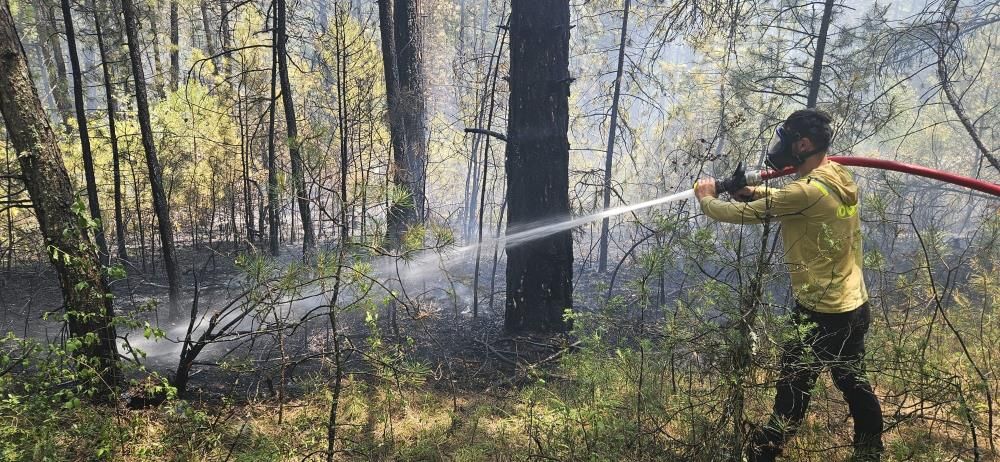 ALLAH KORUDU... YILIN İLK ORMAN YANGINI UCUZ ATLATILDI...