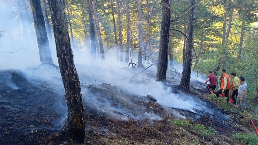 AMAN DİKKAT.... ORMAN YANGINI BÜYÜMEDEN SÖNDÜRÜLDÜ