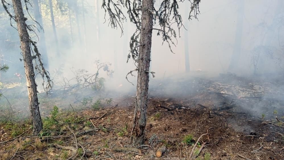 AMAN DİKKAT.... ORMAN YANGINI BÜYÜMEDEN SÖNDÜRÜLDÜ