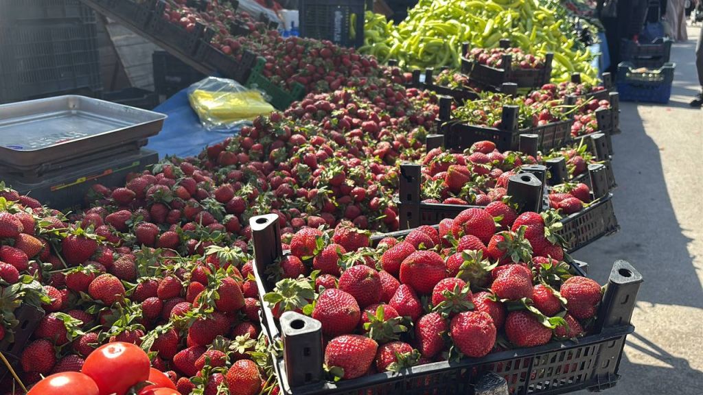 BOLU PAZARINDA ÇİLEK BOLLUĞU...