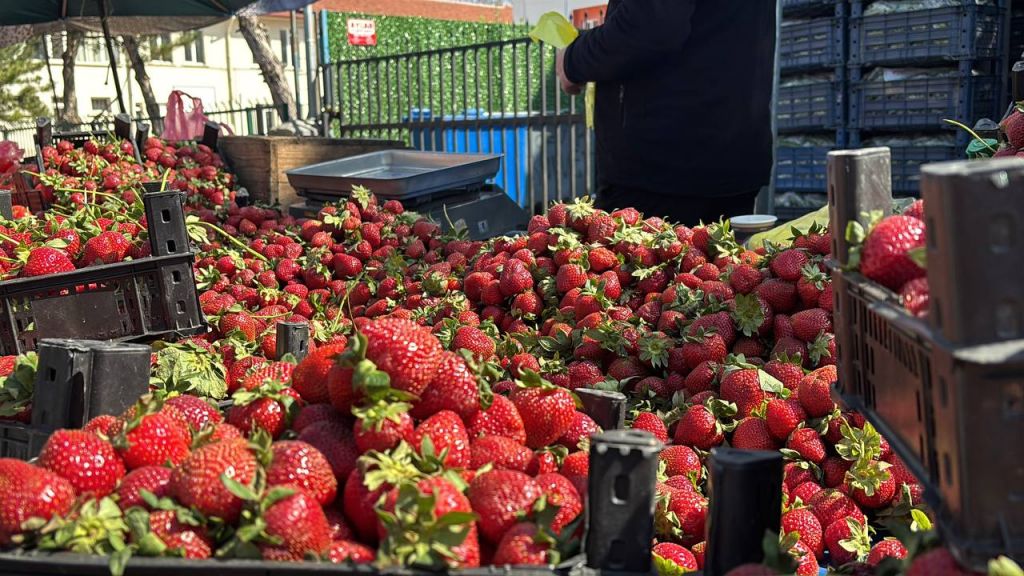 BOLU PAZARINDA ÇİLEK BOLLUĞU...