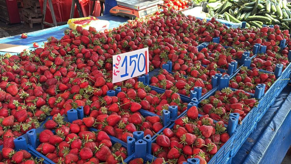 BOLU PAZARINDA ÇİLEK BOLLUĞU...