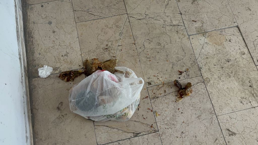 BOLU'NUN ÇÖP APARTMANI