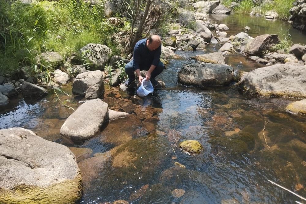 DERELERE 12 BİN ALABALIK YAVRUSU BIRAKILDI