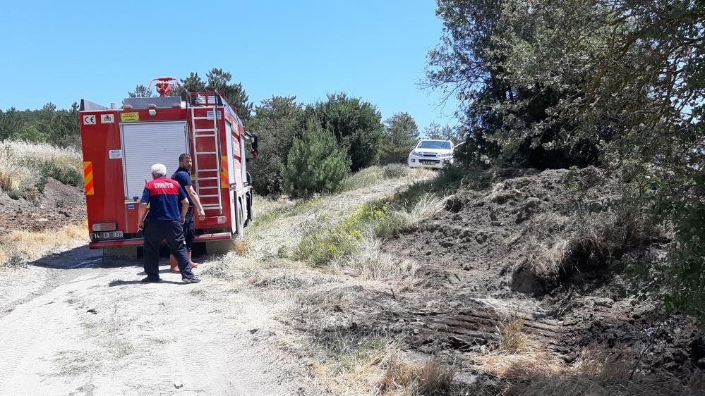 HAVA SICAKLIKLARI ARTIYOR.. ORMAN YANGINLARINA DİKKAT...