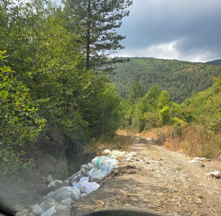 TAVUK LEŞLERİNİ DOĞANIN GÖBEĞİNE ATMIŞLAR....