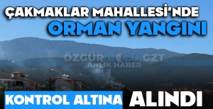 ÇAKMAKLAR MAHALLESİ'NDE ORMAN YANGINI