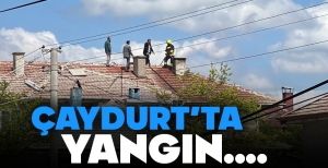 ÇAYDURT'TA YANGIN PANİĞİ....
