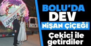 DEV NİŞAN ÇİÇEĞİNİ ÇEKİCİ İLE GETİRDİLER