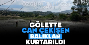 GÖLETTE CAN ÇEKİŞEN BALIKLAR KURTARILDI
