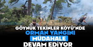 GÖYNÜK TEKİRLER KÖYÜNDE ORMAN YANGINI: MÜDAHALE SÜRÜYOR