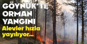 GÖYNÜK'TE ORMAN YANGINI... ALEVLER HIZLA BÜYÜYOR...