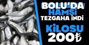 HAMSİ TEZGAHA DÜŞTÜ....