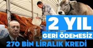 HAYVANCILIK YAPACAK KADIN VE GENÇLERE KREDİ....