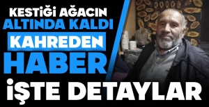 KESTİĞİ AĞACIN ALTINDA KALARAK CAN VERDİ