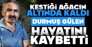 KESTİĞİ AĞACIN ALTINDA KALDI...