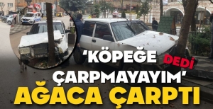 KÖPEĞE ÇARPMAMAK İÇİN AĞACA ÇARPTI...