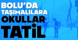 MERKEZ İLÇE VE 4 İLÇEDE TAŞIMALI EĞİTİME KAR TATİLİ..