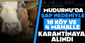 MUDURNU'DA ŞAP NEDENİYLE 18 KÖY VE 4 MAHALLE KARANTİNAYA ALINDI