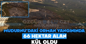 MUDURNU'DAKİ ORMAN YANGININDA 66 HEKTAR ALAN KÜL OLDU