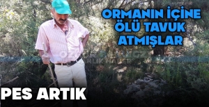 ÖLÜ TAVUKLARI DOĞAYA ATMIŞLAR....