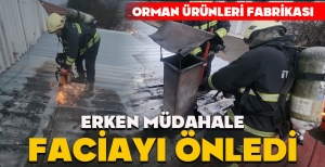 ORMAN ÜRÜNLERİ FABRİKASINDAKİ YANGINA ERKEN MÜDAHALE FACİAYI ÖNLEDİ