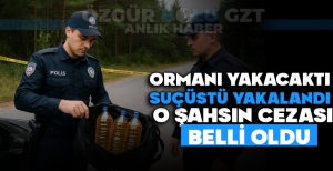 ORMANI YAKACAKTI SUÇÜSTÜ YAKALANDI: O ŞAHSIN CEZASI BELLİ OLDU