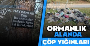 ORMANLIK ALANDA ÇÖP YIĞINLARI