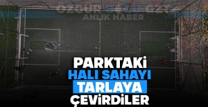 PARKTAKİ HALI SAHAYI TARLAYA ÇEVİRDİLER