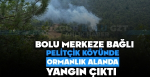 PELİTÇİK KÖYÜNDE ORMANLIK ALANDA YANGIN ÇIKTI