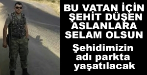 ŞEHİDİMİZİN ADI PARKTA YAŞAYACAK....