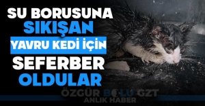 SU BORUSUNA SIKIŞAN KEDİ İÇİN SEFERBER OLDULAR