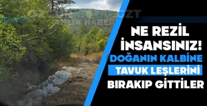 TAVUK LEŞLERİNİ DOĞANIN GÖBEĞİNE ATMIŞLAR....