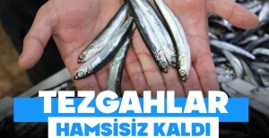 TEZGAHLAR HAMSİSİZ KALDI...
