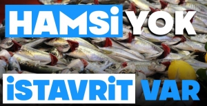 TEZGAHTA HAMSİ KITLIĞI....