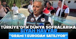 TÜRKİYE'DEN DÜNYA SOFRALARINA SİYAH HAVYAR: ''GRAMI 1 EURODAN SATILIYOR''