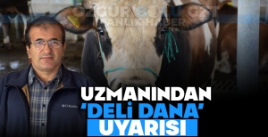 UZMANINDAN 'DELİ DANA' UYARISI