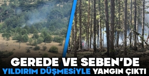 YAĞMUR YAĞDI, YILDIRIMLAR DÜŞTÜ... ORMAN YANGINI ÇIKTI...