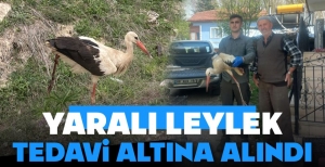 YARALI LEYLEK İÇİN SEFERBER OLDULAR